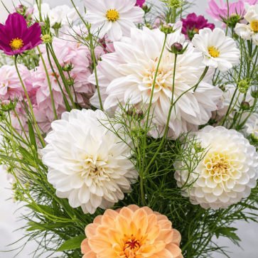 Locally grown seasonal blooms for floral arrangements and wholesale stems on the Jersey Shore